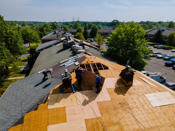 Best Flat Roof Repair Services  in Rome City, IN