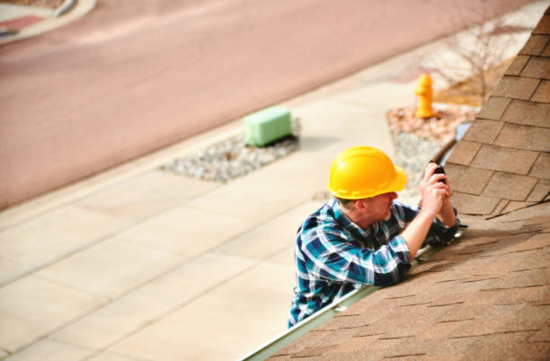 Best Roof Gutter Cleaning  in Rome City, IN