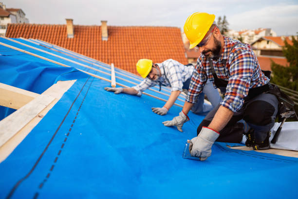 Best Residential Roofing Contractor  in Rome City, IN