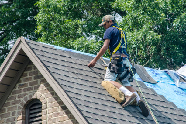 Best Roof Repair Services  in Rome City, IN