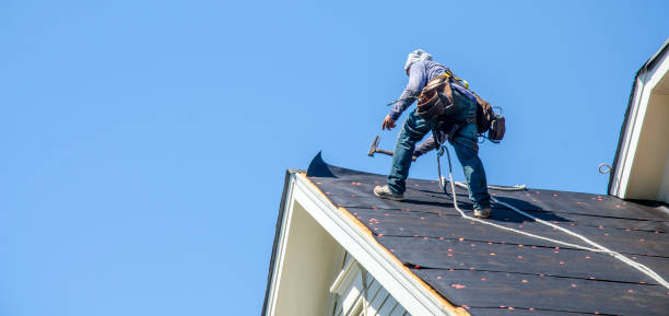 Roof Gutter Cleaning in Rome City, IN
